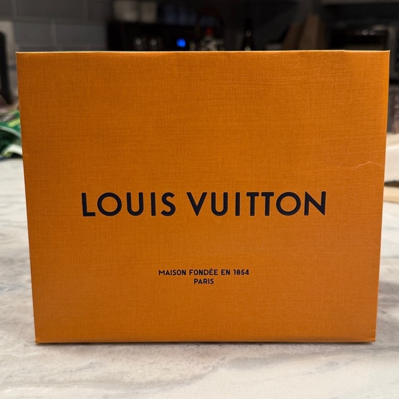 Louis Vuitton Paper Shopping Bag with Canvas Blue Handles - Picture 1 of 6